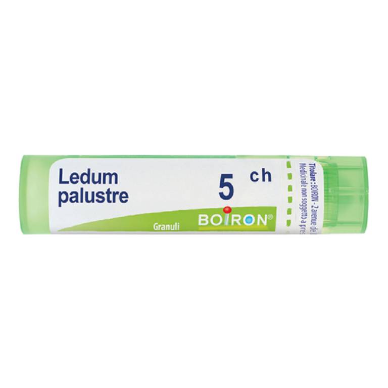 LEDUM PALUSTRE 5CH GR